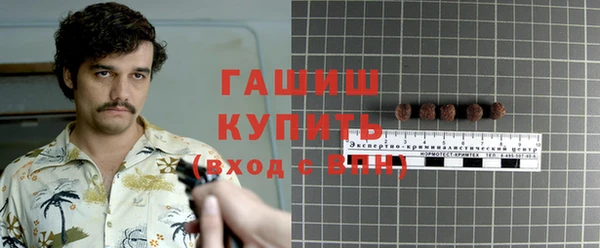 гашик Алексеевка