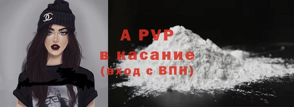прущие грибы Арсеньев