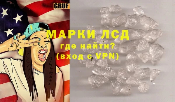 прущие грибы Арсеньев
